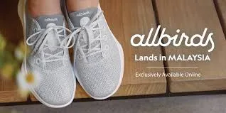 Allbirds Promo Codes 