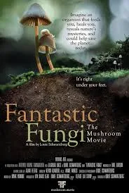 fantasticfungi.com