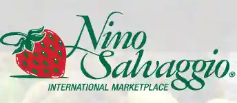 ninosalvaggio.com