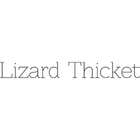 shoplizardthicket.com