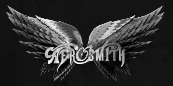 store.aerosmith.com