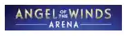 angelofthewindsarena.com