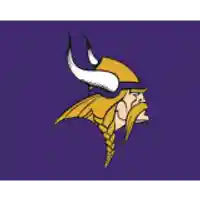 vikings.com